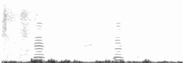 Cisne Trompetero - ML616146450