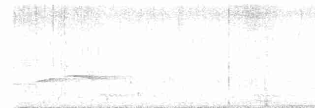 Streifenbrust-Erddrossling - ML616147177
