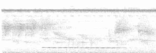 Kestane Kanatlı Çalı Timalyası - ML616147669