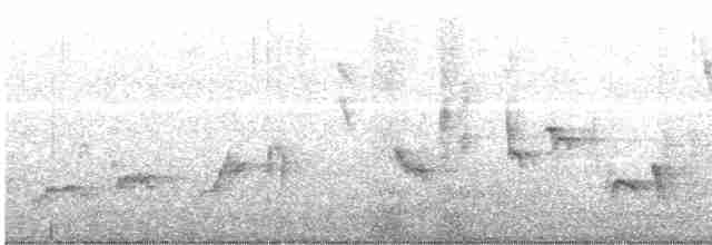 tanımsız Passeriformes sp. - ML616148752