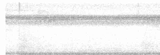 White-chested Babbler - ML616148799