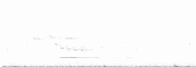 Сичик-горобець євразійський - ML616149046