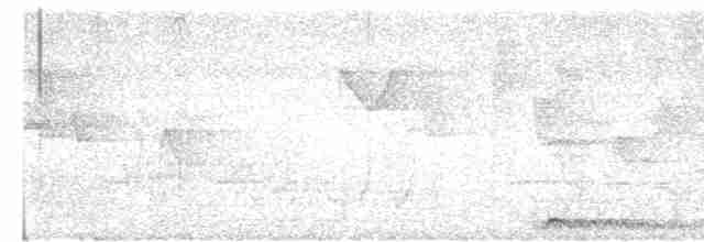 Кораловоклювая воронья кукушка - ML616149667