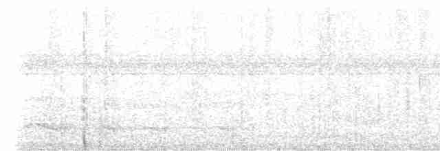 tukan žlutohrdlý - ML616150139