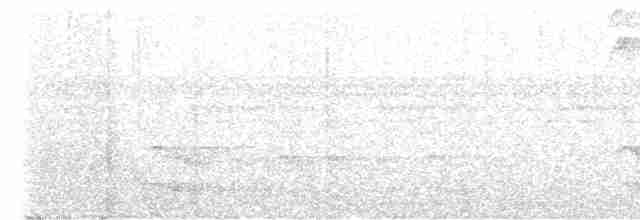 tukan žlutohrdlý - ML616150174