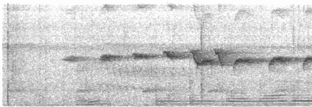 Grauscheitel-Ameisenvogel - ML616150186