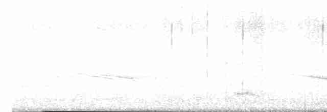 Sarı Karınlı Sinekkapan - ML616150723