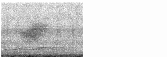 白斑紫嘯鶇(黃嘴) - ML616151035
