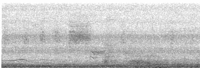 Manchurian Reed Warbler - ML616151052