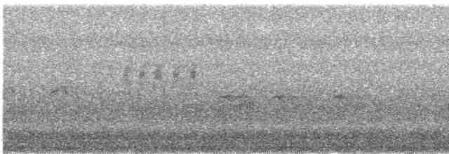 Mirlo Acuático Norteamericano - ML616152091