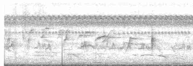Серогрудый трескун - ML616152424