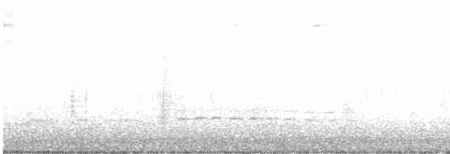Weißbrustkleiber - ML616152470