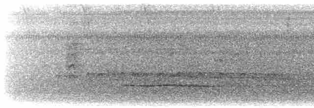 Little Tinamou - ML616155208