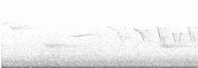 Yellow-throated Warbler - ML616160074