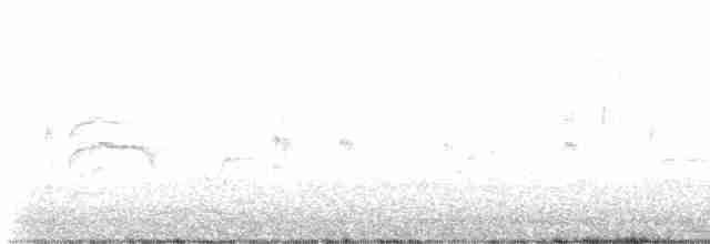 斑文鳥 - ML616160309