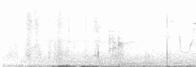 Піранга жовтогуза - ML616160389