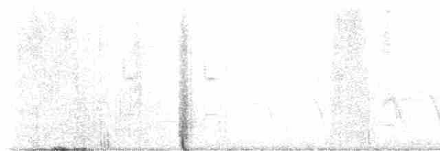 strakapoud proužkohřbetý - ML616161317