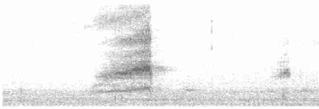 Сич американський [група cunicularia] - ML616162011