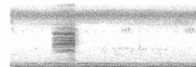 Long-tailed Shrike - ML616162300