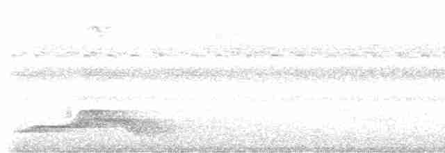 Pauraquenachtschwalbe - ML616162663