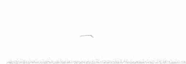 Common Chiffchaff (Siberian) - ML616162750