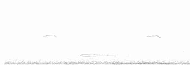Common Chiffchaff (Siberian) - ML616162778