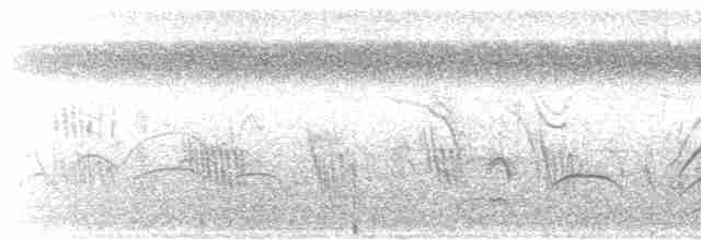 Gray-breasted Crake - ML616165061