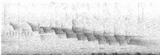 Зяблик гран-канарський - ML616167269