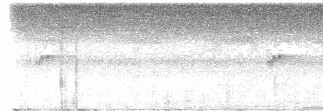 Kara Tepeli Küçük Tiran - ML616167709