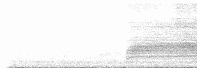 luněc šedý - ML616167812