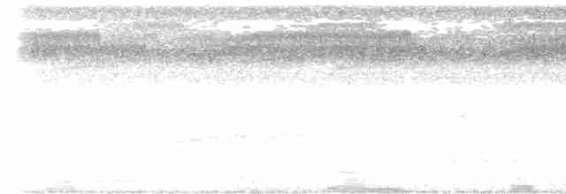 Сероголовая голубка - ML616167934