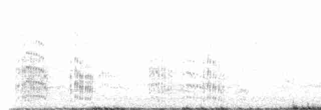 鳳頭燕鷗 - ML616167970
