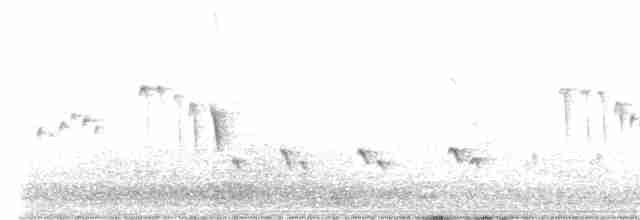 Кропив’янка рудогуза - ML616168031