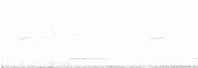 Сичик-горобець євразійський - ML616168441