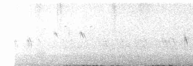"Шишкар ялиновий (Western Hemlock, або тип 3)" - ML616168929