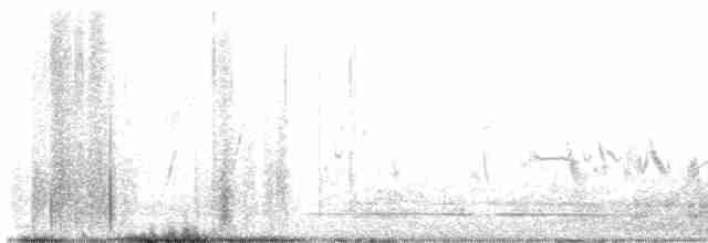 Cuitlacoche de las Artemisas - ML616168950
