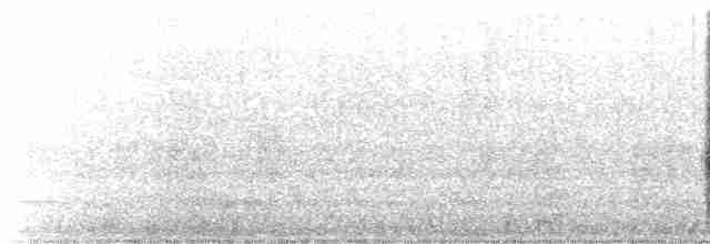 vlhovec lesklý (ssp. versicolor) - ML616169511