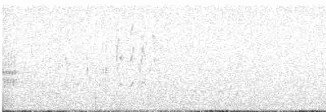 Troglodyte des marais - ML616169861