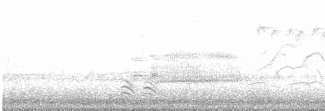 Beyaz Göğüslü Sıvacı (carolinensis) - ML616169975