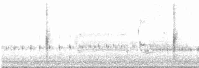 vlhovec červenokřídlý [skupina phoeniceus] - ML616170005
