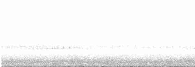 キヅタアメリカムシクイ（coronata） - ML616170028