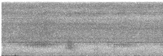 Серогрудый гусеницеед - ML616170796