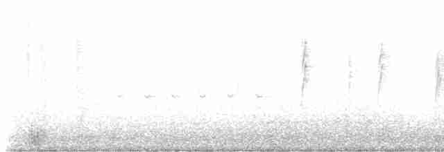 Тиран товстодзьобий - ML616170884