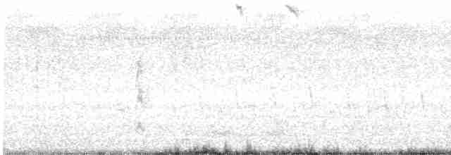 Song Sparrow - ML616172789