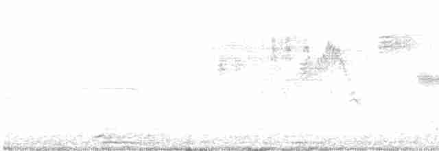 Длиннохвостый крапивник - ML616176324