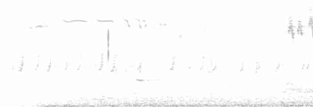 Шишкар ялиновий - ML616176343
