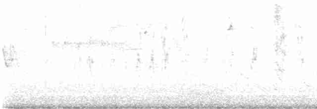 Пенелопа світлоголова - ML616176397