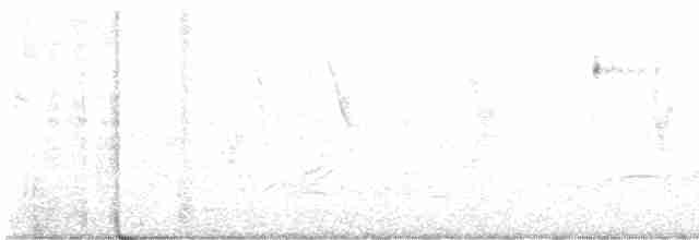 guan stříbrouchý - ML616176403