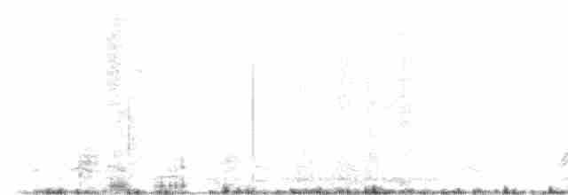 Marsh Wren (palustris Group) - ML616179405