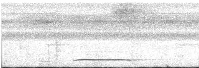 holub safírový - ML616180377